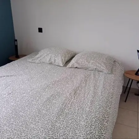 Maison De Avec Piscine * Soustons